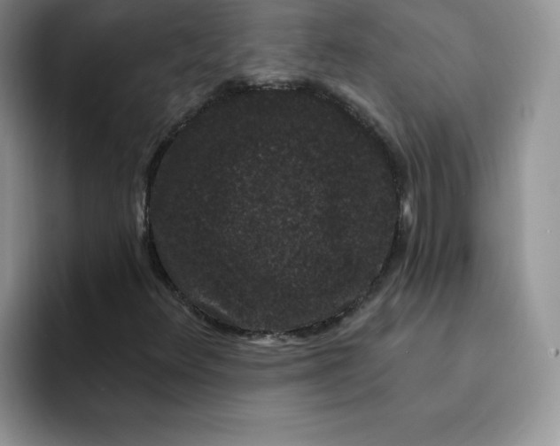 X0000091731348200709141217