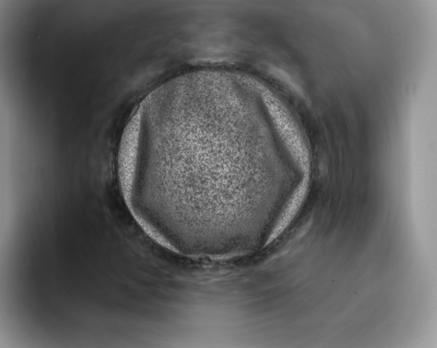 X0000091731350200709141217