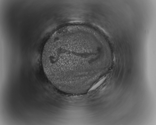 X0000091731351200709141217