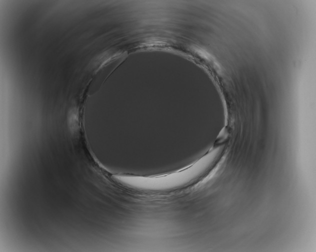 X0000091731353200709141217