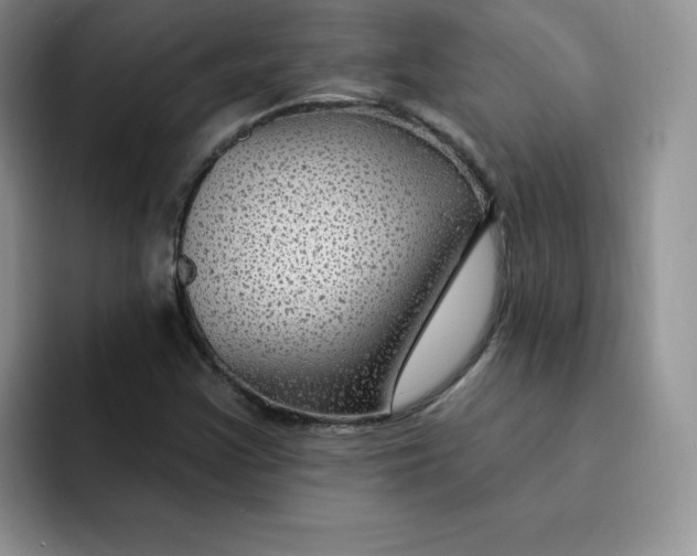 X0000091731355200709141217