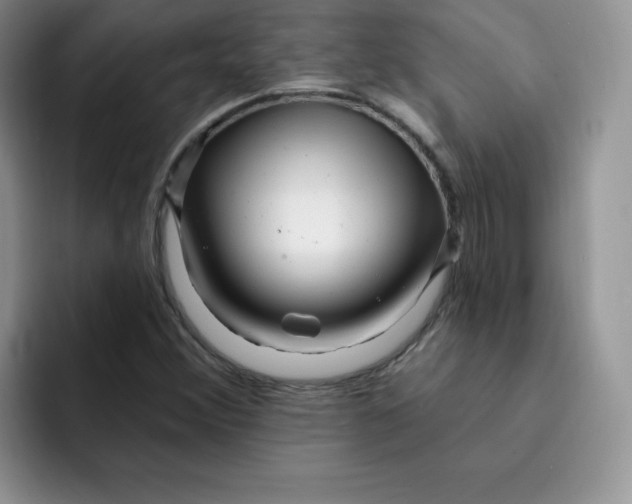 X0000091731356200709141217