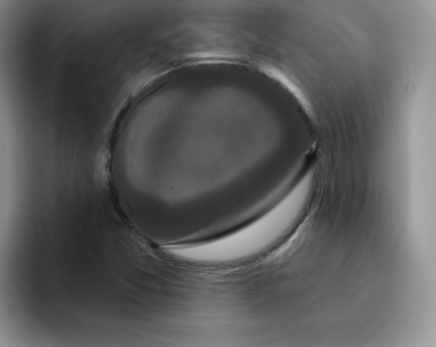 X0000091731357200709141217