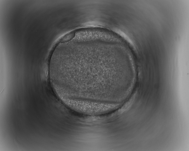 X0000091731358200709141217