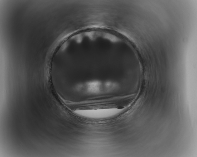 X0000091731359200709141217