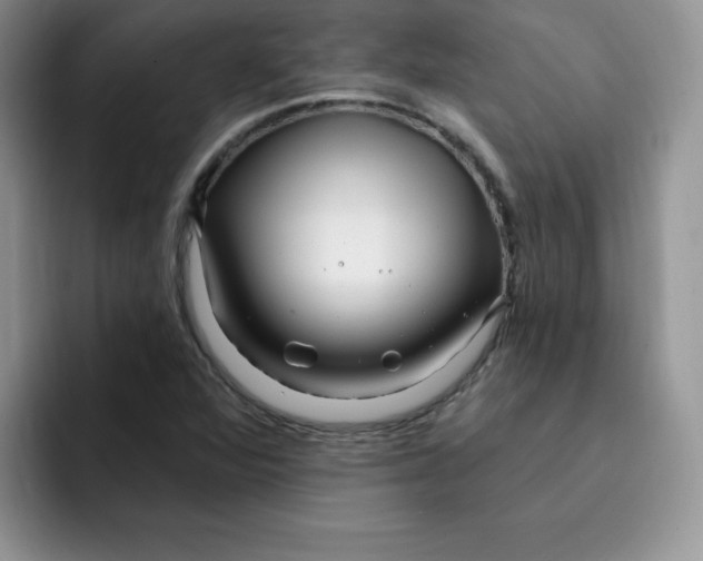 X0000091731360200709141217