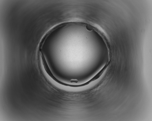 X0000091731364200709141217