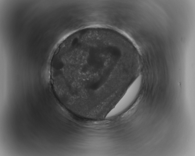 X0000091731367200709141217