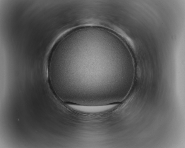 X0000091731368200709141217