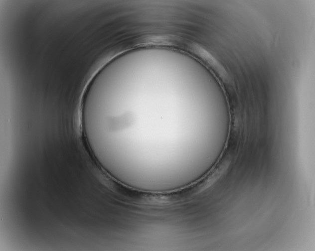 X0000091731370200709141217