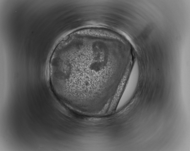 X0000091731371200709141217