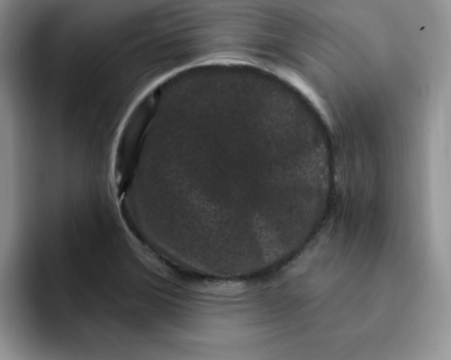 X0000091731372200709141217