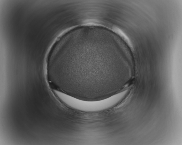 X0000091731376200709141217