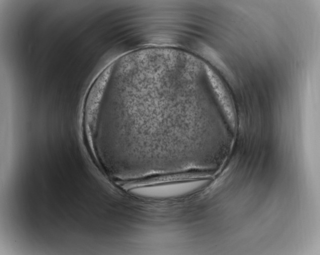 X0000091731378200709141217