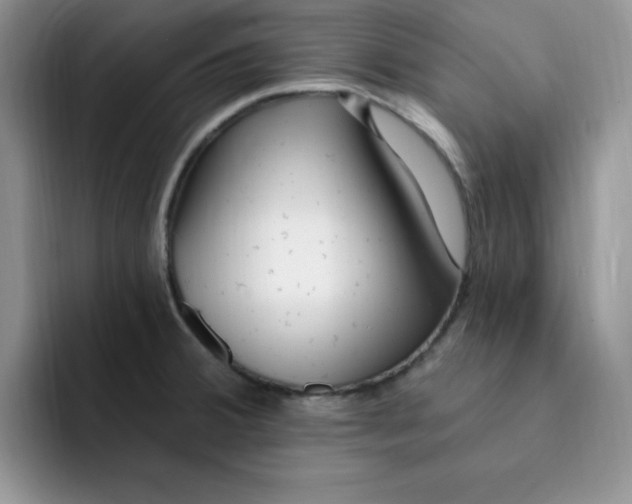 X0000091731380200709141217