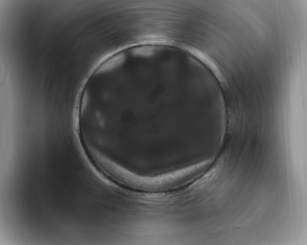 X0000091731383200709141217