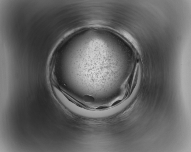 X0000091731384200709141217