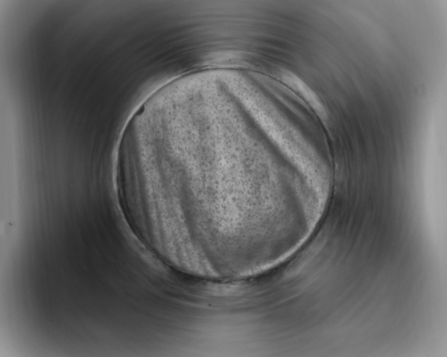 X0000091731386200709141217