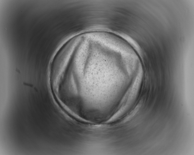 X0000091731390200709141217