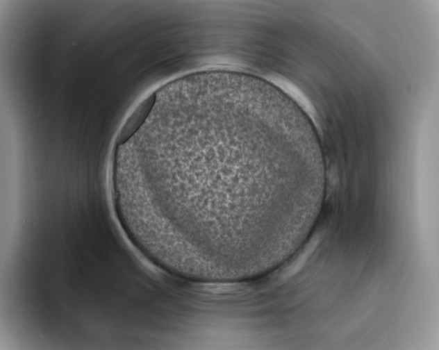 X0000091731391200709141217