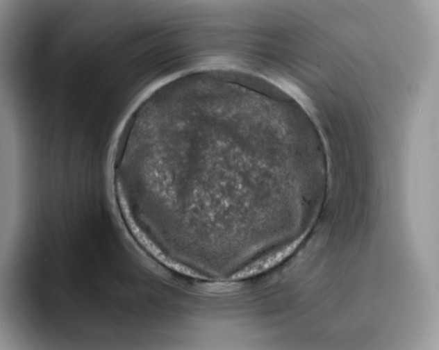 X0000091731392200709141217