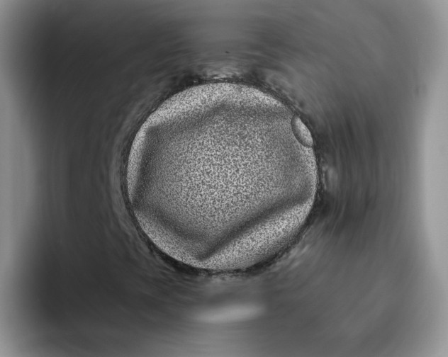 X0000091731393200709141216