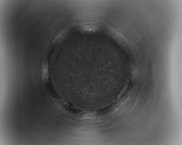 X0000091731394200709141216