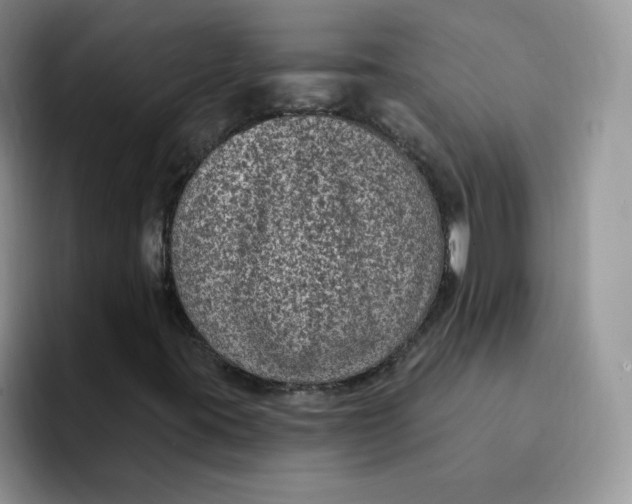 X0000091731395200709141216