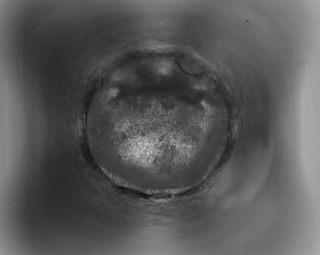 X0000091731397200709141216