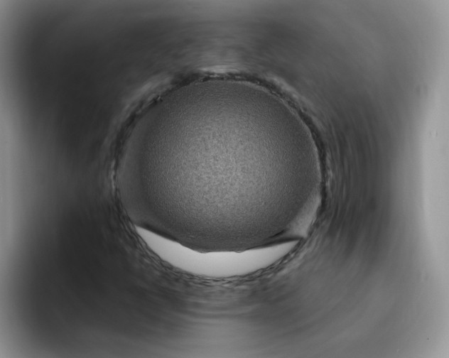 X0000091731398200709141216