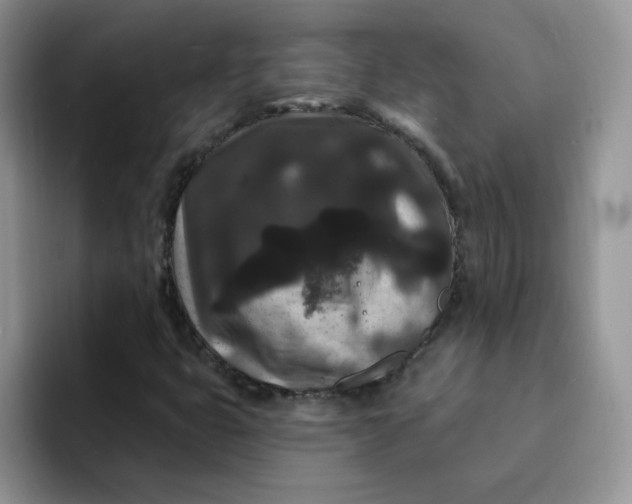 X0000091731399200709141216