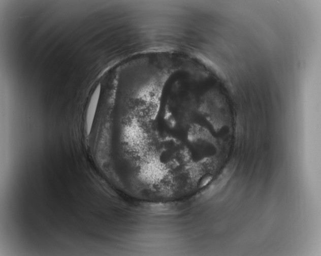 X0000091731401200709141216