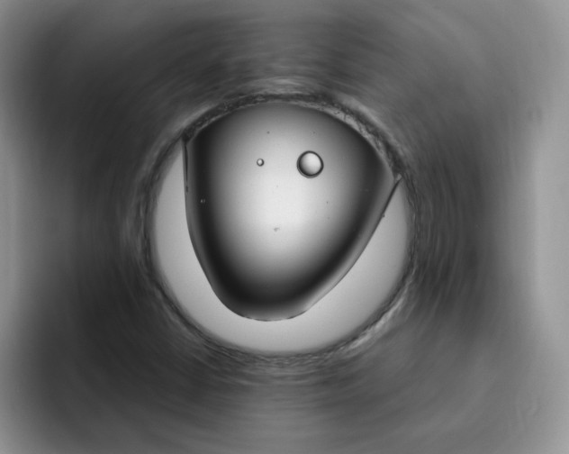 X0000091731402200709141216