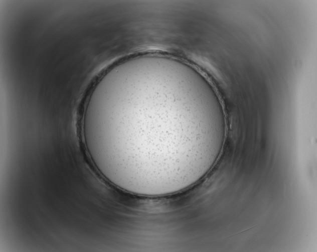 X0000091731404200709141216