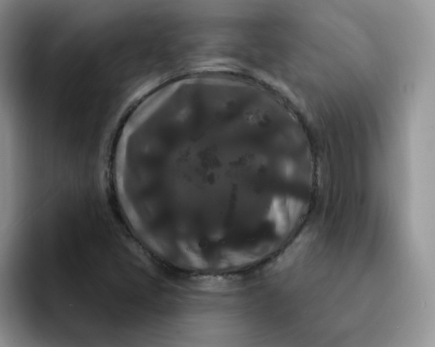 X0000091731405200709141216