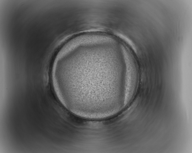 X0000091731407200709141216