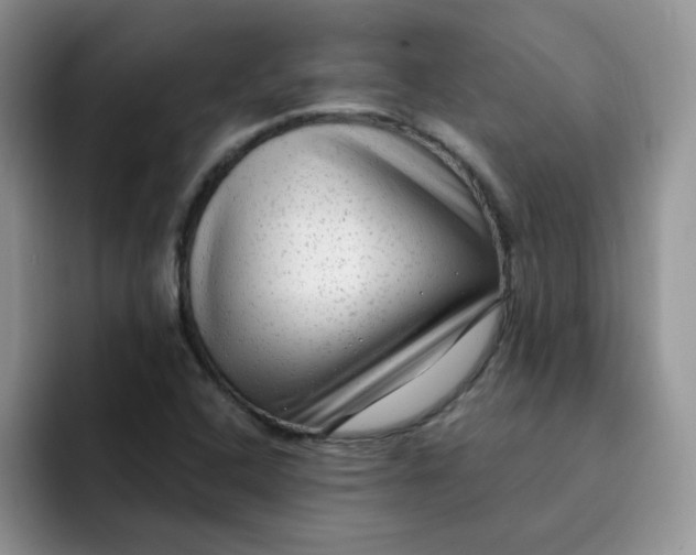 X0000091731408200709141216