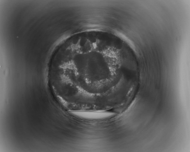 X0000091731411200709141216