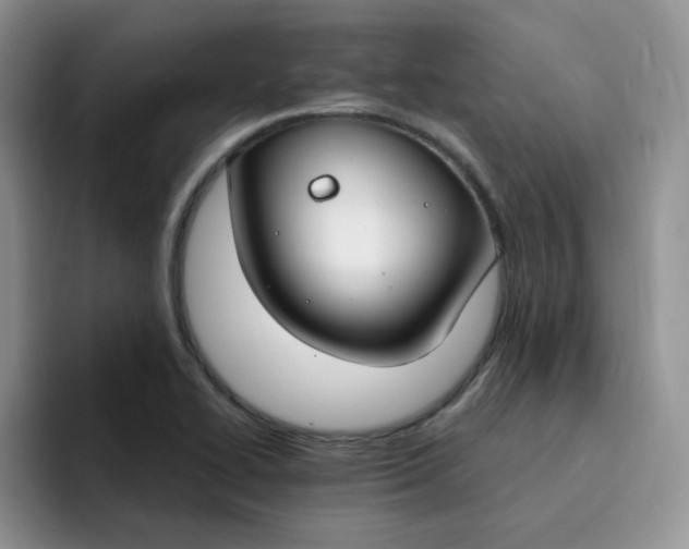 X0000091731414200709141216