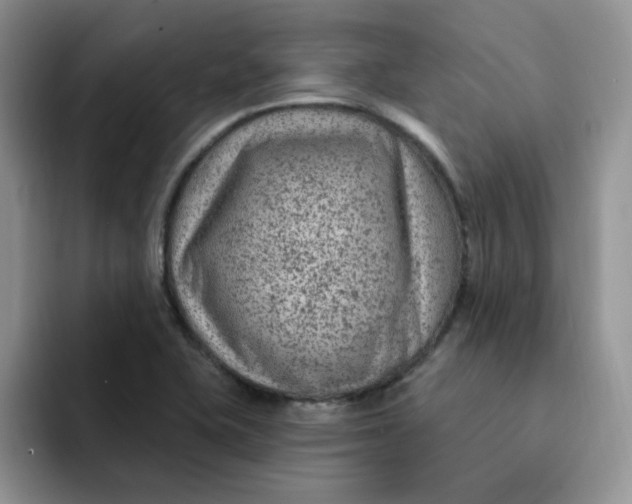 X0000091731415200709141216