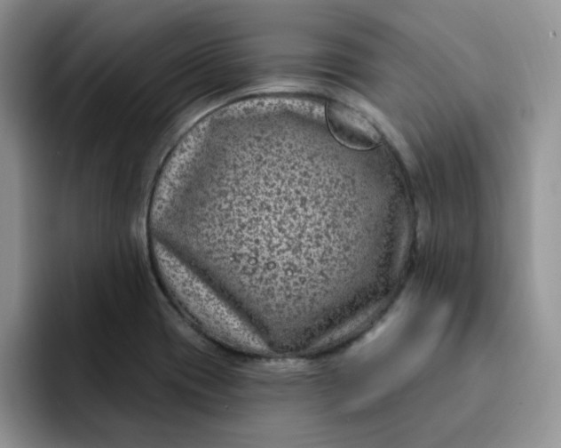 X0000091731417200709141216