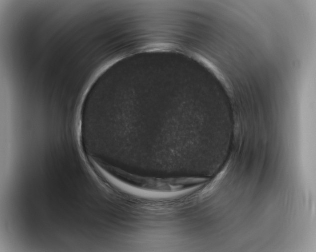 X0000091731418200709141216