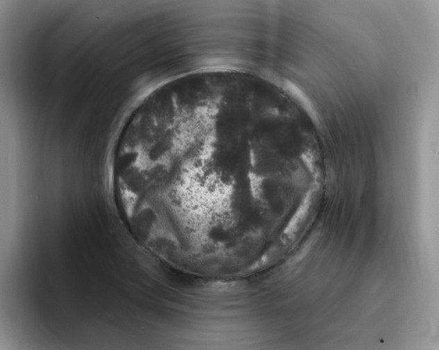 X0000091731419200709141216