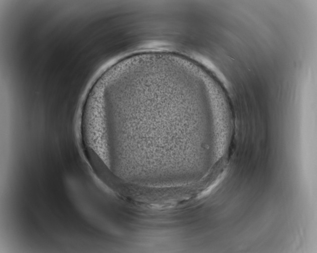 X0000091731421200709141216