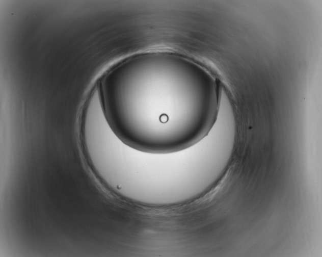 X0000091731422200709141216