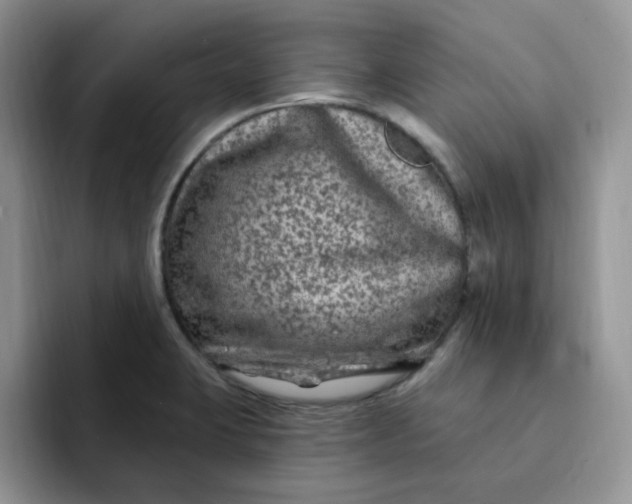 X0000091731423200709141216