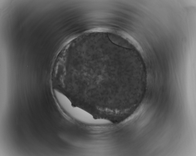 X0000091731425200709141216