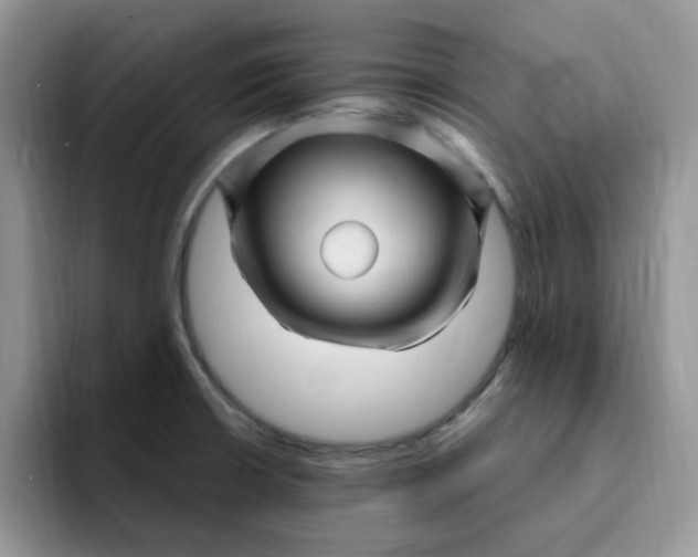 X0000091731426200709141216