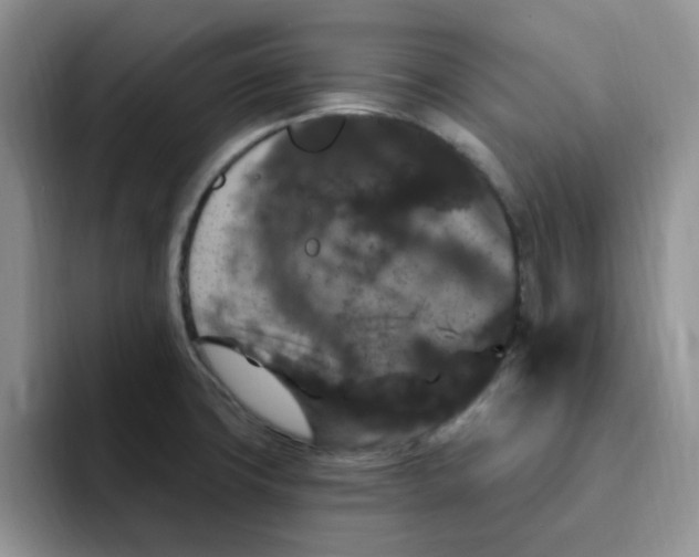 X0000091731427200709141216