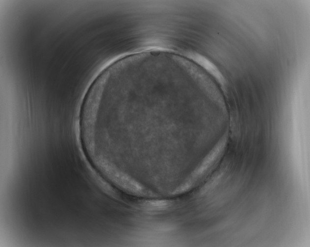 X0000091731431200709141216